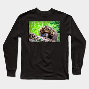 Smudge painting of an Echidna Long Sleeve T-Shirt